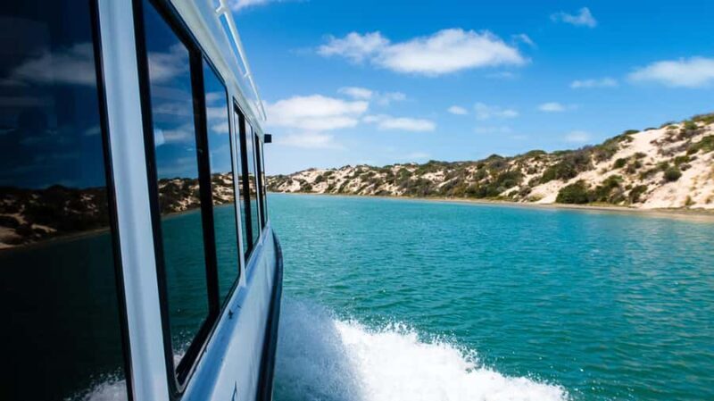 From Goolwa: Half-Day Coorong Experience - An Overview of the Experience