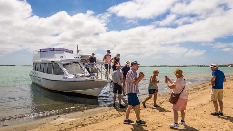 From Goolwa: Half-Day Coorong Experience - Who Is This Tour Best For?