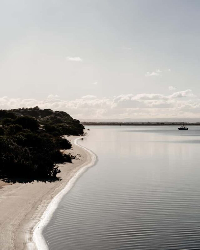 From Goolwa: Murray Mouth Cruise - The Experience and Its Value