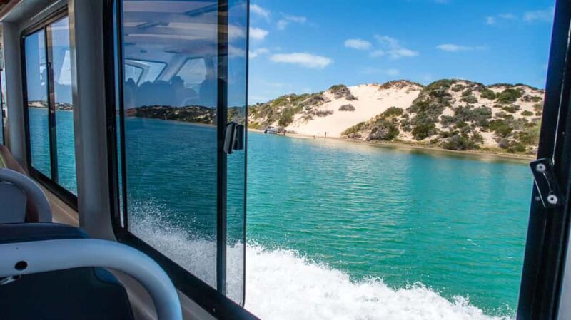 From Goolwa: Murray Mouth Cruise - Who Will Appreciate This Tour?