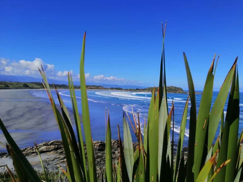 From Greymouth: Highlights West Coast Day Tour - An In-Depth Look at the West Coast Highlights Tour