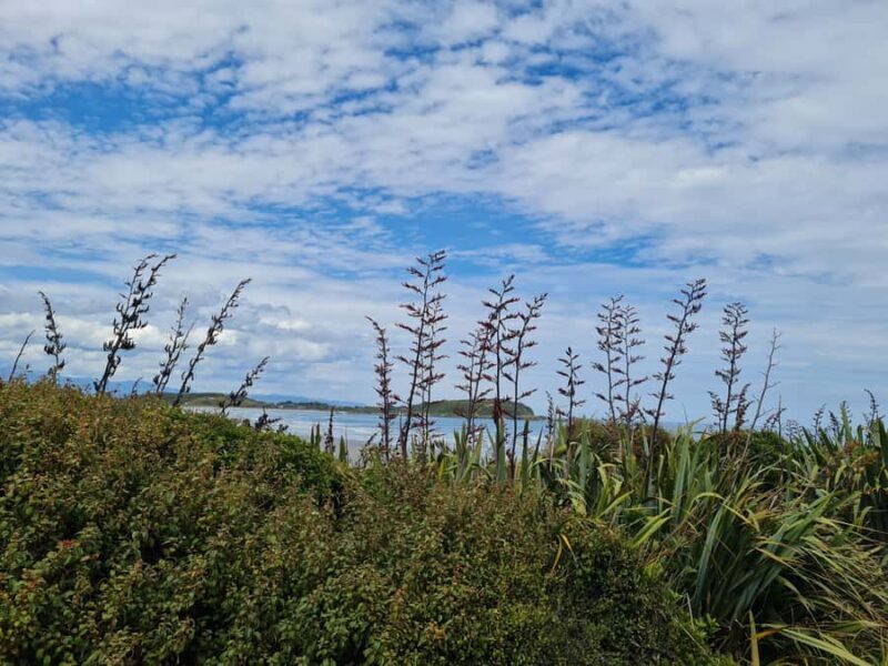 From Greymouth: Highlights West Coast Day Tour - FAQ