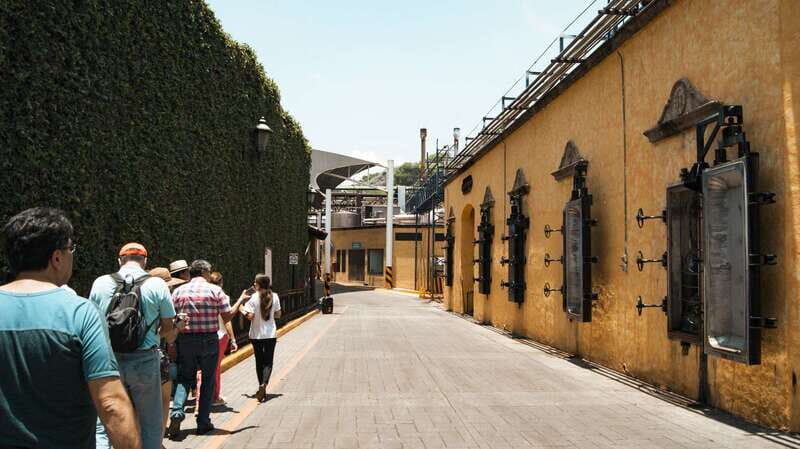 From Guadalajara: Pyramids & Jose Cuervo Tequila Tour - Food and Local Vibe: A Meal in Tequila