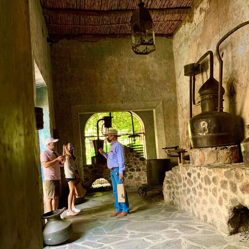 From Guadalajara: Pyramids & Jose Cuervo Tequila Tour - FAQ