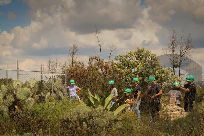 From Guanajuato: Mines and Abandoned Farms (Mineral de Pozos) - Practical Aspects and Value