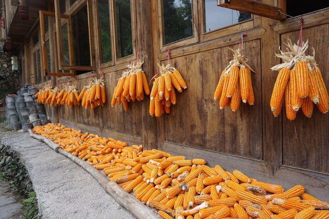 From Guilin/Yangshuo: Longji Rice Terraces and Ethnic Minority Village Day Tour - Return Journey and Reflection
