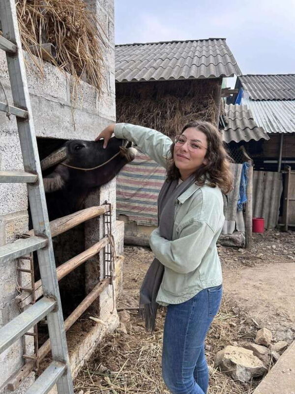 From Ha Noi: 10 Day 9 Night Cao Bang - Ha Giang - Ba Be Lake - The Sum Up: Is This Tour for You?