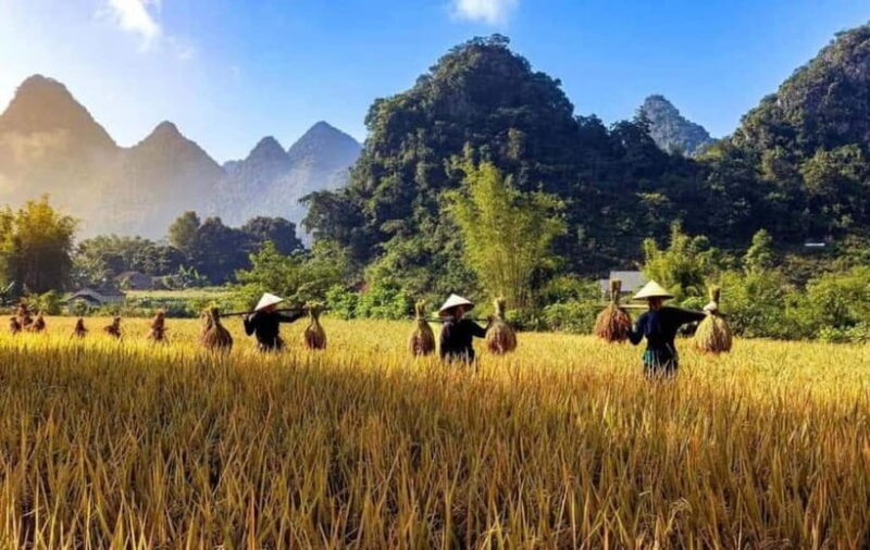 From Ha Noi: Cao Bang Loop Group Motorbike Tour 4 Day - Analyzing the Value