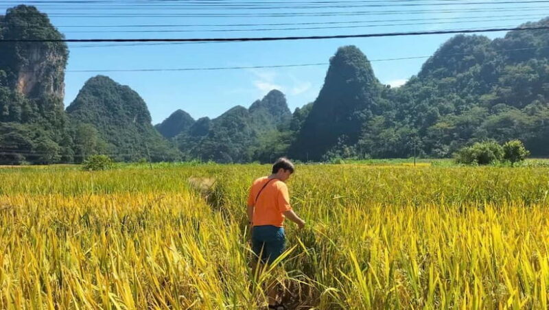 From Ha Noi: Cao Bang Loop Group Tour - Motorbike Tour 1 Day - FAQ