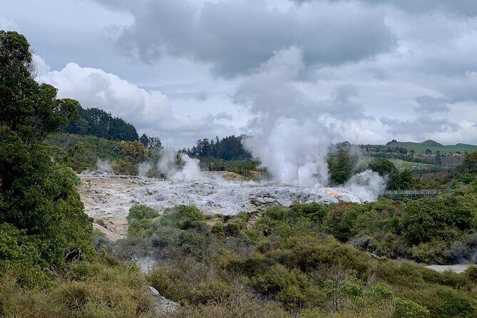 From Hamilton: Living Maori Village, Haka Dance and Blue Springs - An Overview of the Tour Experience