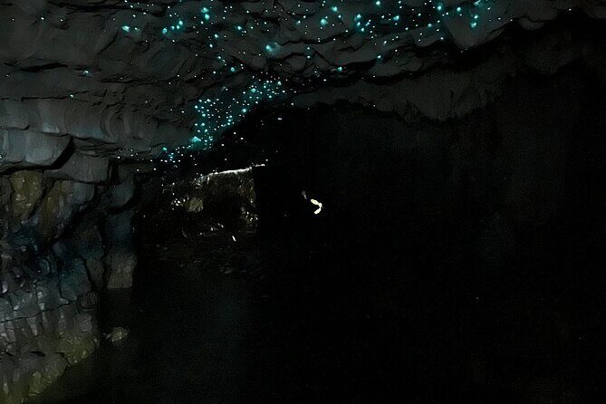 From Hamilton: Waitomo Glowworm & Cave Explorer Small Group Tour - What the Tour Offers and Why It Matters