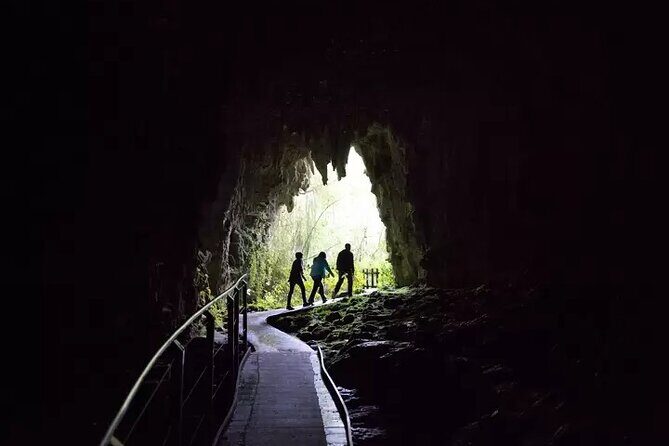 From Hamilton: Waitomo Glowworm & Cave Explorer Small Group Tour - The Experience from Feedback