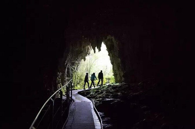 From Hamilton: Waitomo Glowworm & Cave Explorer Small Group Tour - Who Is This Tour Best For?