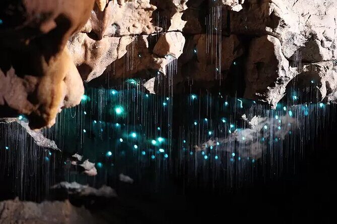 From Hamilton: Waitomo Glowworm & Cave Explorer Small Group Tour - Final Thoughts
