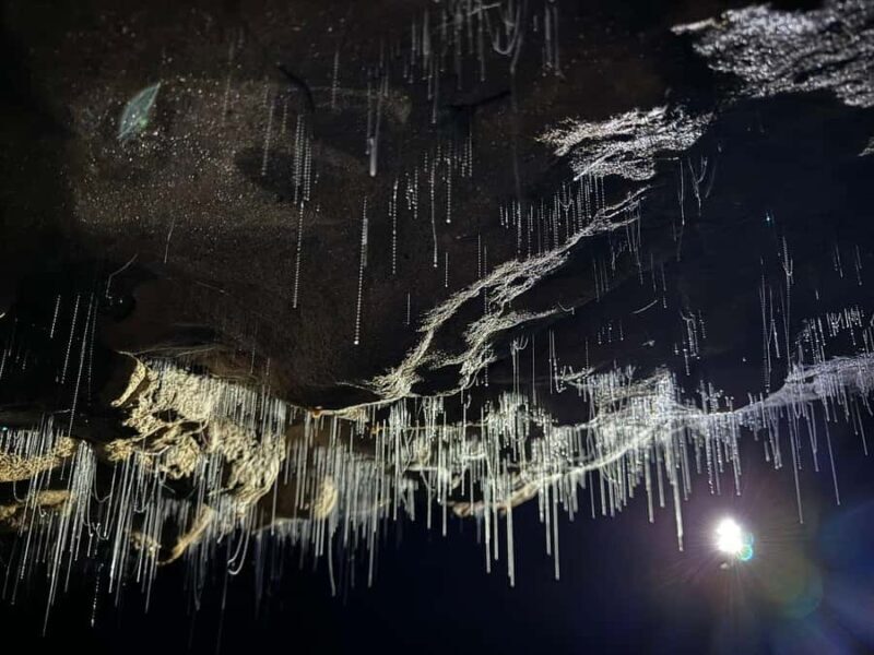 From Hamilton: Waitomo Glowworm Caves Explorer Small Group - Practical Tips for Travelers