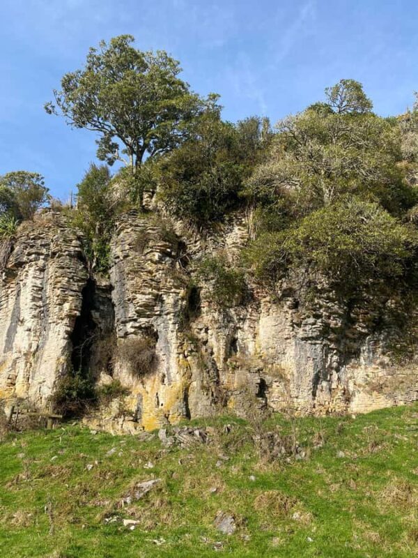 From Hamilton: Waitomo Glowworm Caves Explorer Small Group - FAQs