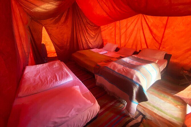 From Hammamet: Sahara Desert Overnight Camping - Final Thoughts: Is This Tour Right for You?