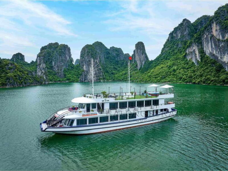 From Hanoi: 1 -Day Halong Bay Cruise With Big & Small Groups - Who Will Love This Tour?