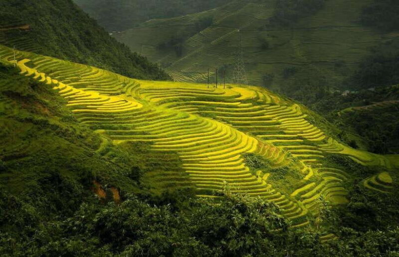 From Hanoi: 1-day Sapa Trekking Tour With Overnight Bus - Key Points