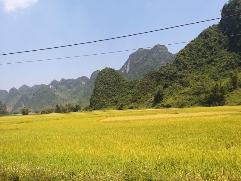 From Hanoi: 2-Day Ban Gioc Waterfall Tour - Small Group - The Sum Up