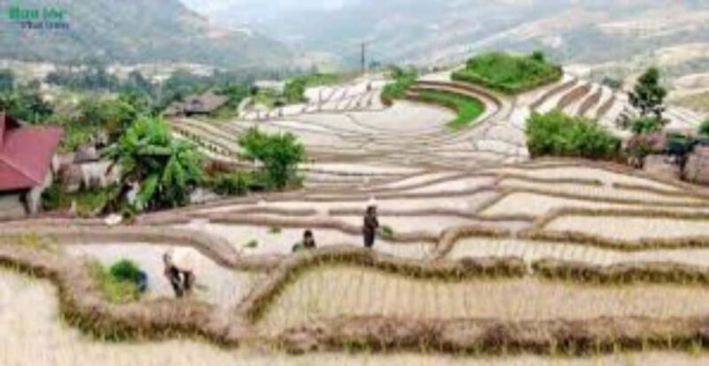 From Hanoi: 2-Day Ha Thanh Waterfall and Khuoi My Village - A Practical Overview of the 2-Day Tour