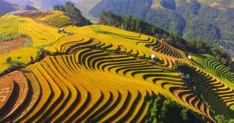 From Hanoi: 2-Day Luxury Sapa Trekking Tour with Homestay - FAQ