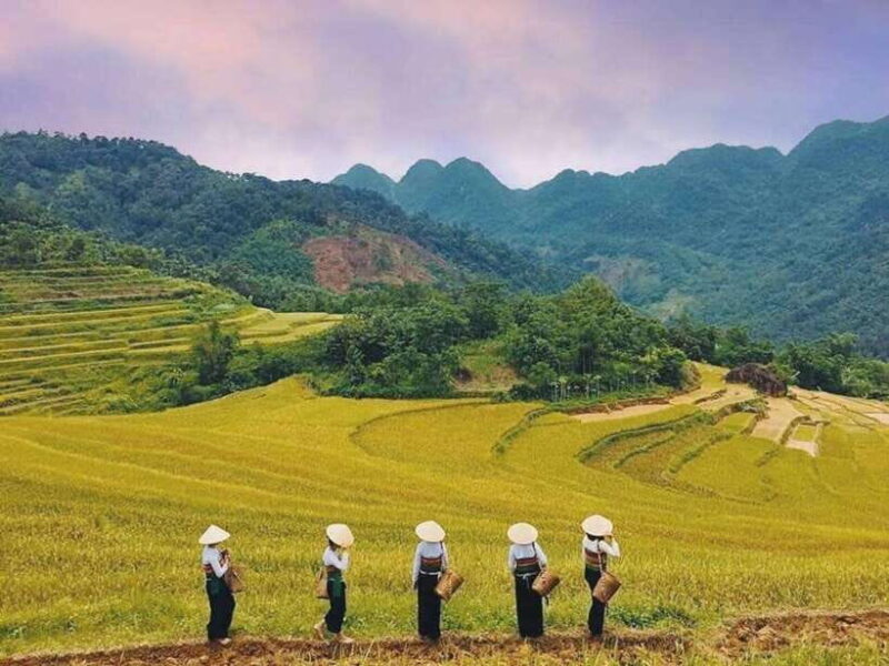From Hanoi: 2-Day Mai Chau & Puluong Adventure - Pu Luong: Nature and Hidden Villages