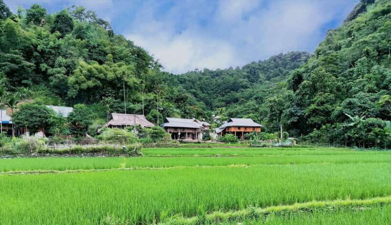 From Hanoi: 2-Day Mai Chau & Puluong Adventure - Authenticity and Traveler Experience