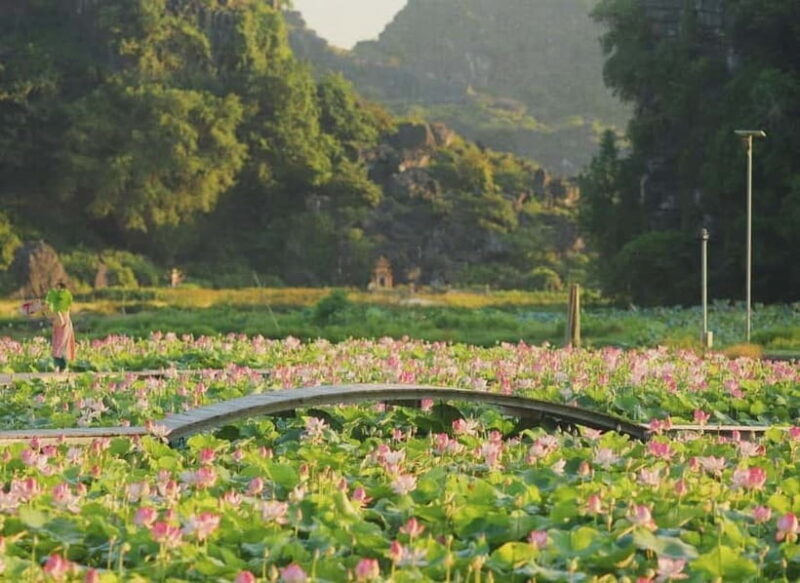 From Hanoi: 2-Day Ninh Binh Nature & Culture Explorer - Practical Details and Value