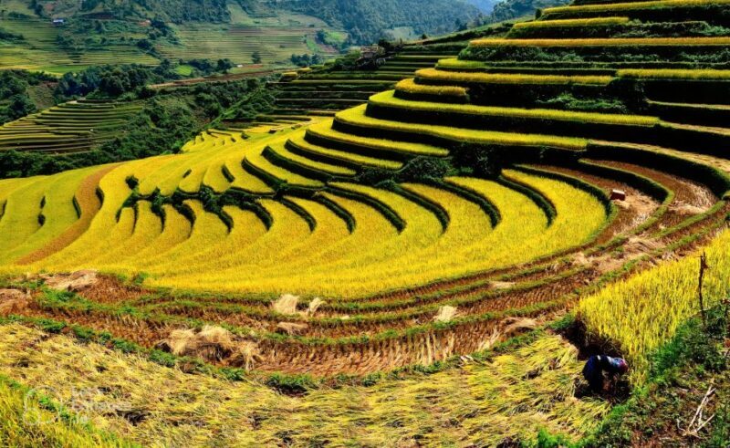 From Hanoi: 2-Day Sapa-Fansipan Peak & Trek & Ha Giang Bus - FAQ