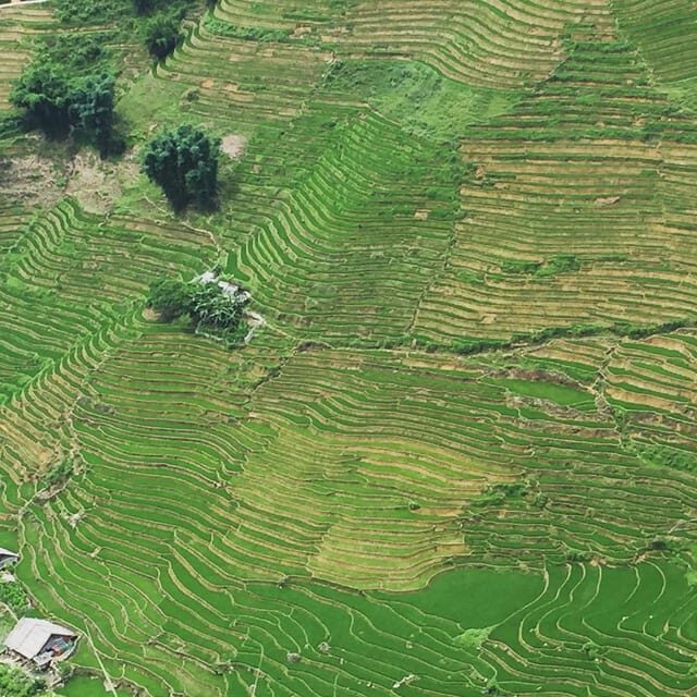 From Hanoi: 2-day Sapa Homestay & Cooking class with locals - Return Journey and Overall Value