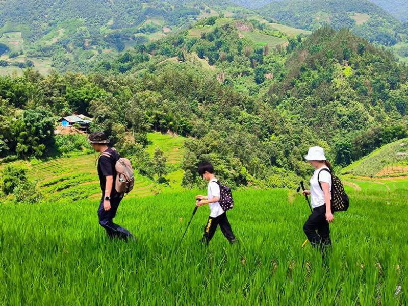 From Hanoi: 2-Day Sapa Trek Tour - Luxury Limousine Transfer - The Sum Up