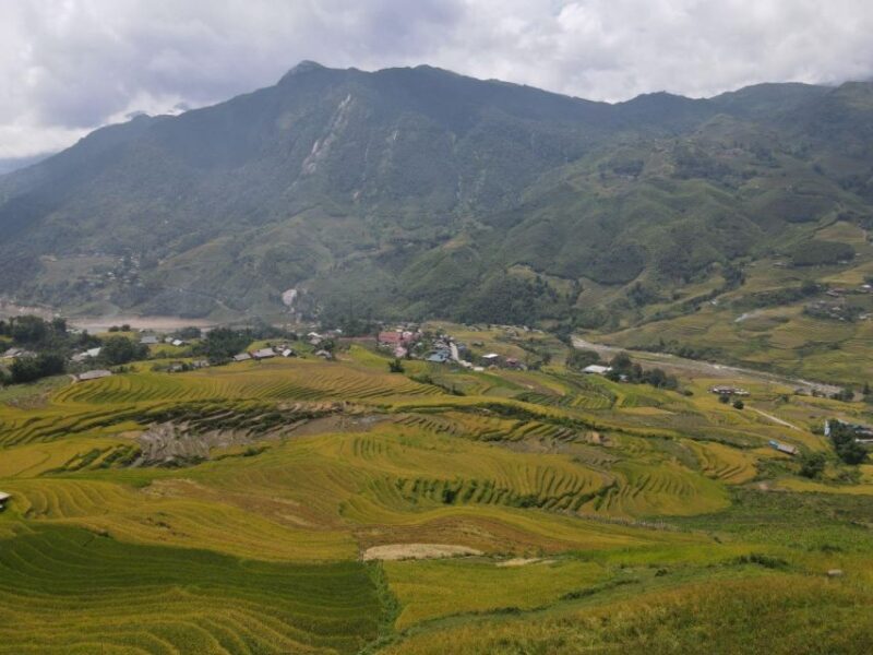 From Hanoi: 2-Day Sapa Trekking Trip with Homestay & Meals - What Makes This Tour Stand Out?
