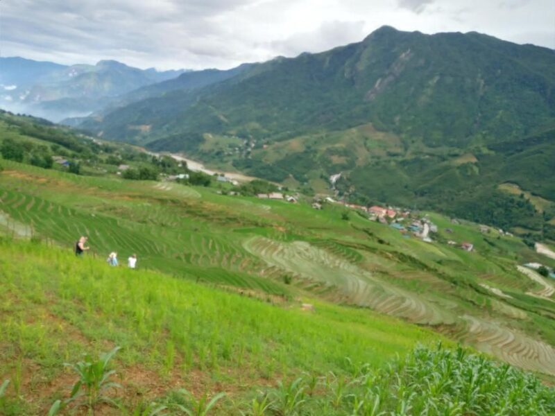 From Hanoi: 2-Day Sapa Trekking Trip with Homestay & Meals - The Sum Up: Is This Tour Right for You?