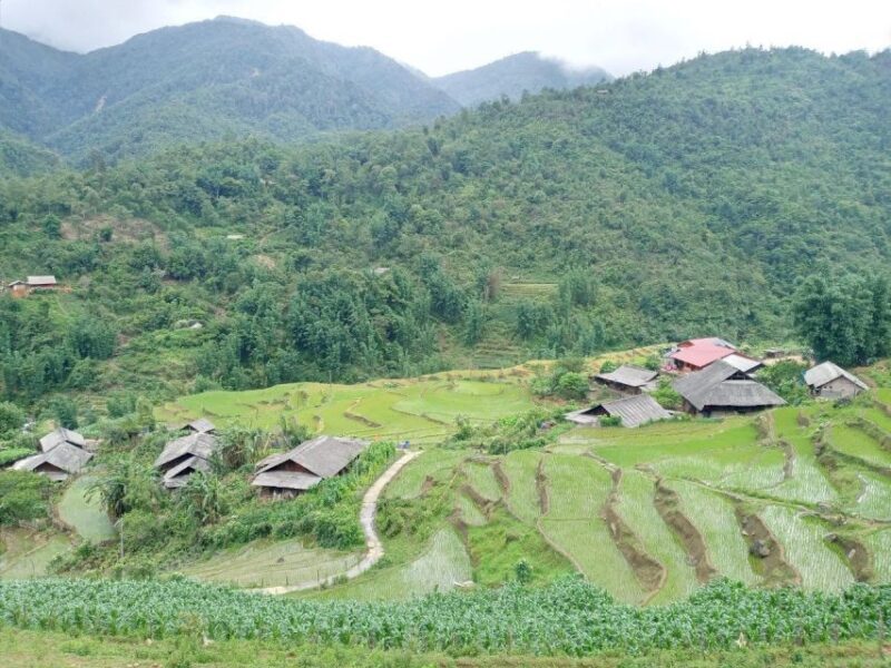 From Hanoi: 2-Day Sapa Trekking Trip with Homestay & Meals - FAQs