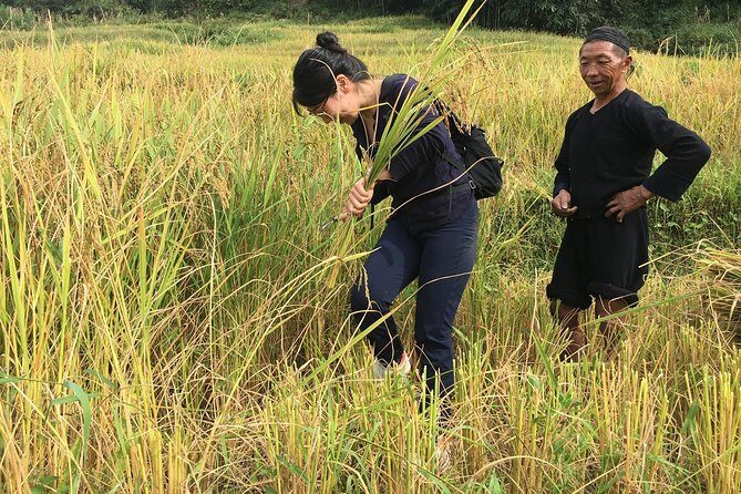 From Hanoi: 2 Days Sapa Trek & Fansipan Adventure with Dcar - Final Thoughts