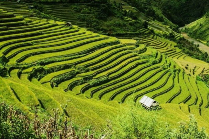 From Hanoi: 2-Days Sapa Trek Lao Chai/Cat Cat, Fansipan Peak - Why This Tour Offers Good Value