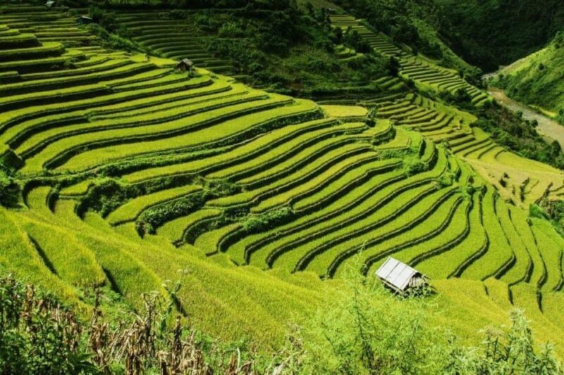 From Hanoi: 2-Days Sapa Trekking Tour Lao Chai and Cat Cat - What to Expect from the Sapa Tour