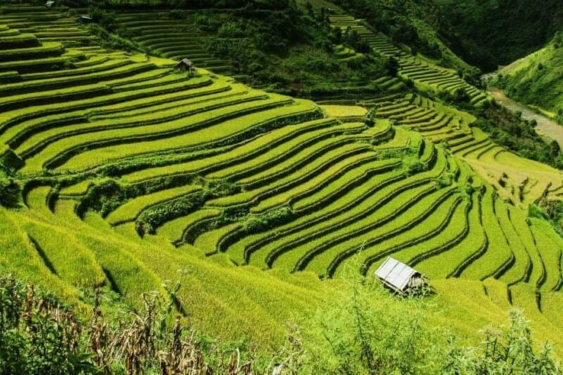 From Hanoi: 2-Days Sapa Trekking Tour Lao Chai and Cat Cat - Who Will Love This Tour?