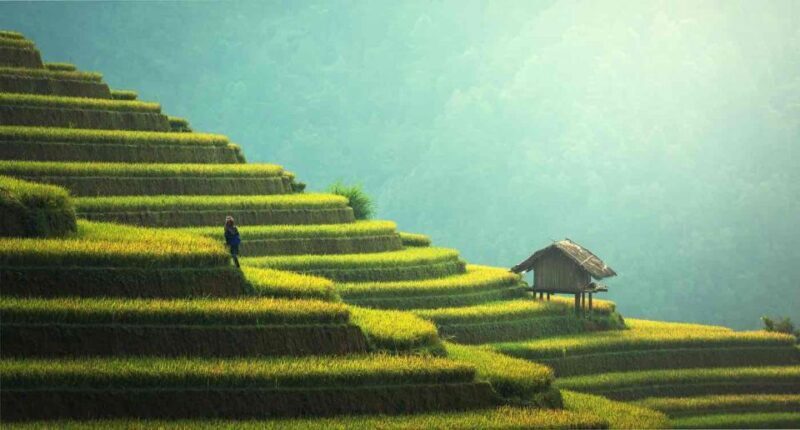 From Hanoi: 2D1N Sapa Trekking by VIP Sleeper Bus - Key Points