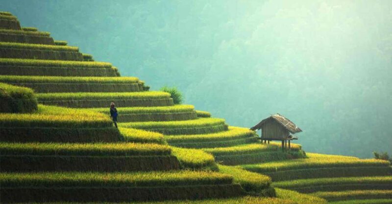 From Hanoi: 2D1N Sapa Trekking by VIP Sleeper Bus - Practical Tips for Travelers