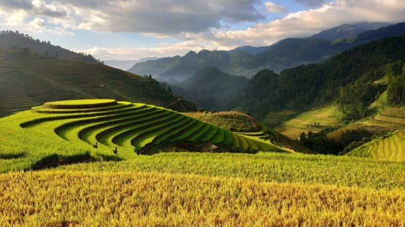 From Hanoi: 2D1N Sapa Trekking by VIP Sleeper Bus - The Sum Up