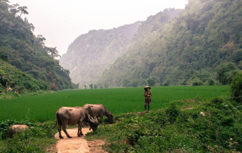 From Hanoi: 3-Day Ba Be Lake & Ban Gioc Falls Private Tour - Final Thoughts