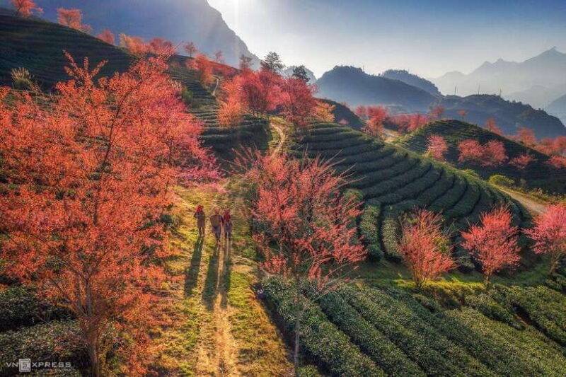 From Hanoi: 3-Day Sapa Trekking (sleep at hotel & homestay) - FAQ