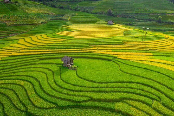 From Hanoi: 3 Days Sapa Trekking & Ethnic Villages by Dcar - What Travelers Are Saying