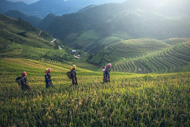 From Hanoi: 3 Days Sapa Trekking & Ethnic Villages by Dcar - FAQs