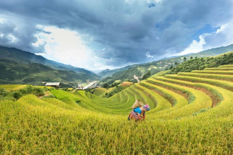 From Hanoi: 4-Day Mu Cang Chai Terraced Rice Fields Tour - An In-Depth Look at the 4-Day Mu Cang Chai Tour