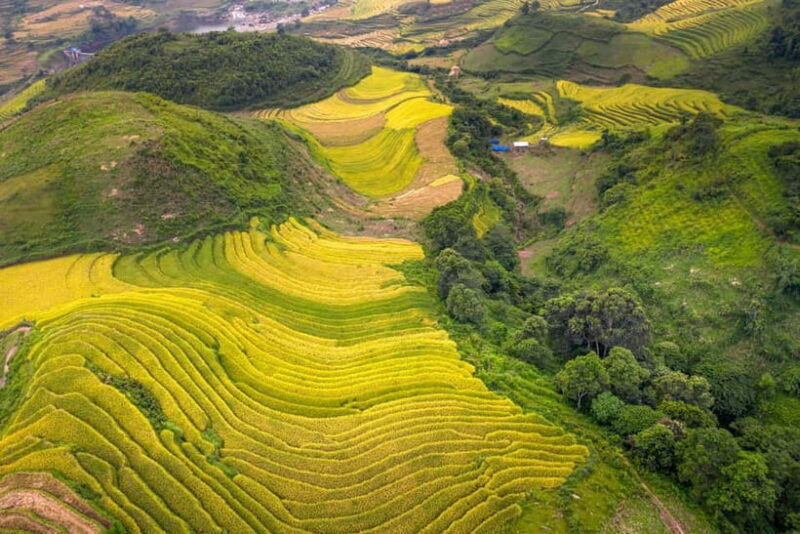 From Hanoi: 4-Day Mu Cang Chai Terraced Rice Fields Tour - Frequently Asked Questions