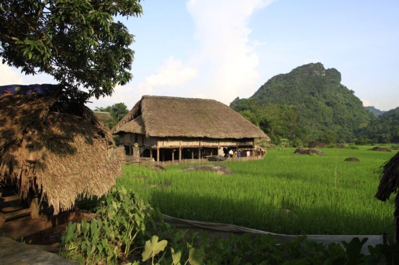 From Hanoi: 4-Day Panorama Of Ha Giang Loop Private Tour - The Experience: What Travelers Say