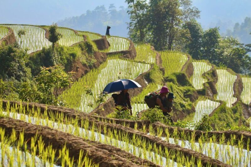 From Hanoi: 4-Day Panorama Of Ha Giang Loop Private Tour - Practical Tips for Travelers